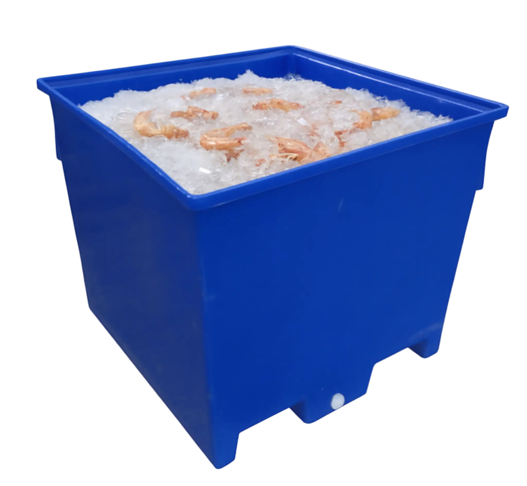 Fish seafood processing